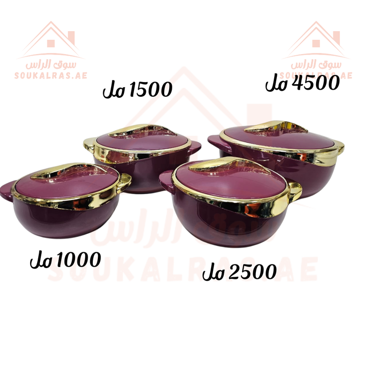 طقم حرارات عازلة للحرارة مكون من 4 قطع من PARCHAM | حرارات طعام فاخرة | 1000 مل، 1500 مل، 2500 مل، 4500 مل