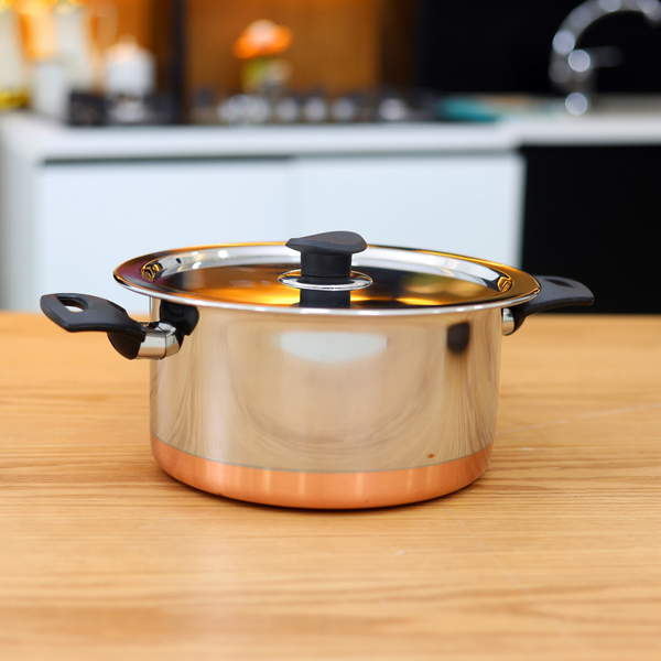 Stainless Steel Casserole with Lid 25.5CM