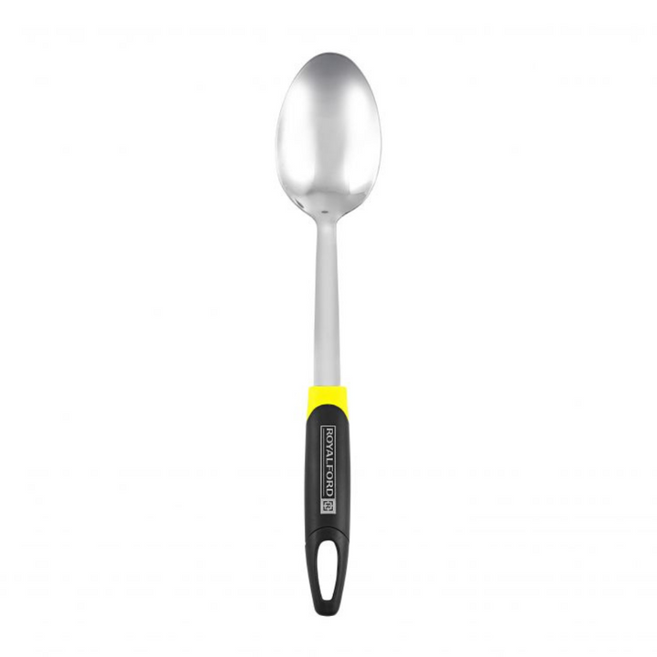 Stainless Steel Serving Spoon with ABS Handle