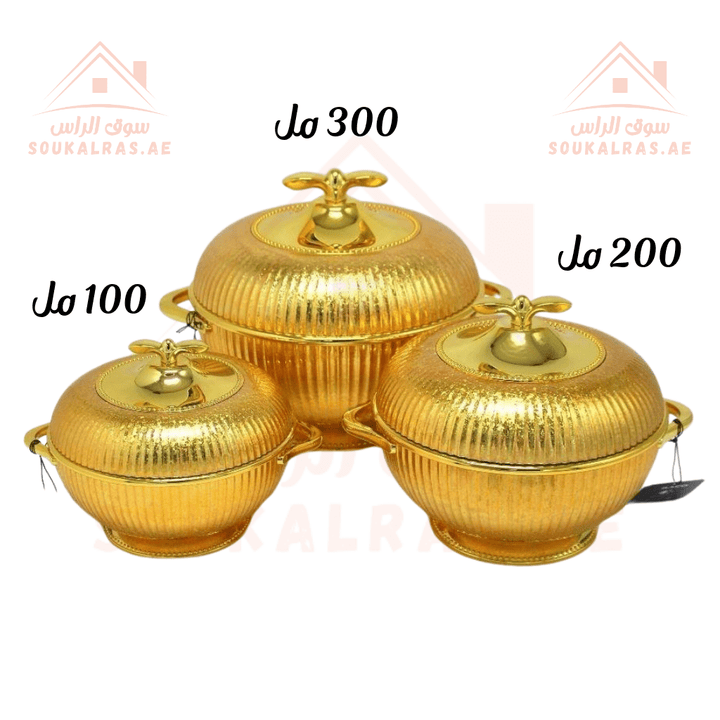 Elegant Hot Pot Food Warmer Set of 3 | 100ml, 200ml, 300ml | Premium Insulated Design - Souk Al Ras