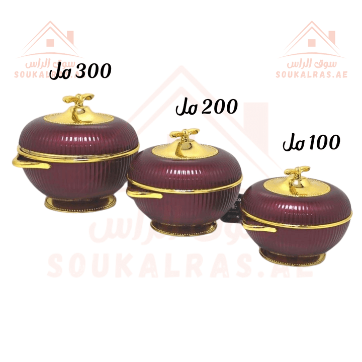 Elegant Hot Pot Food Warmer Set of 3 | 100ml, 200ml, 300ml | Premium Insulated Design - Souk Al Ras