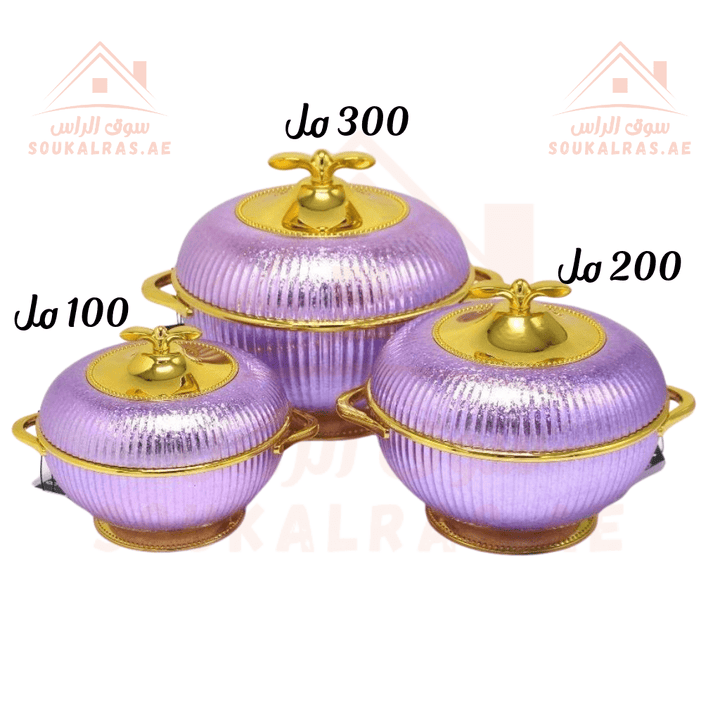 Elegant Hot Pot Food Warmer Set of 3 | 100ml, 200ml, 300ml | Premium Insulated Design - Souk Al Ras