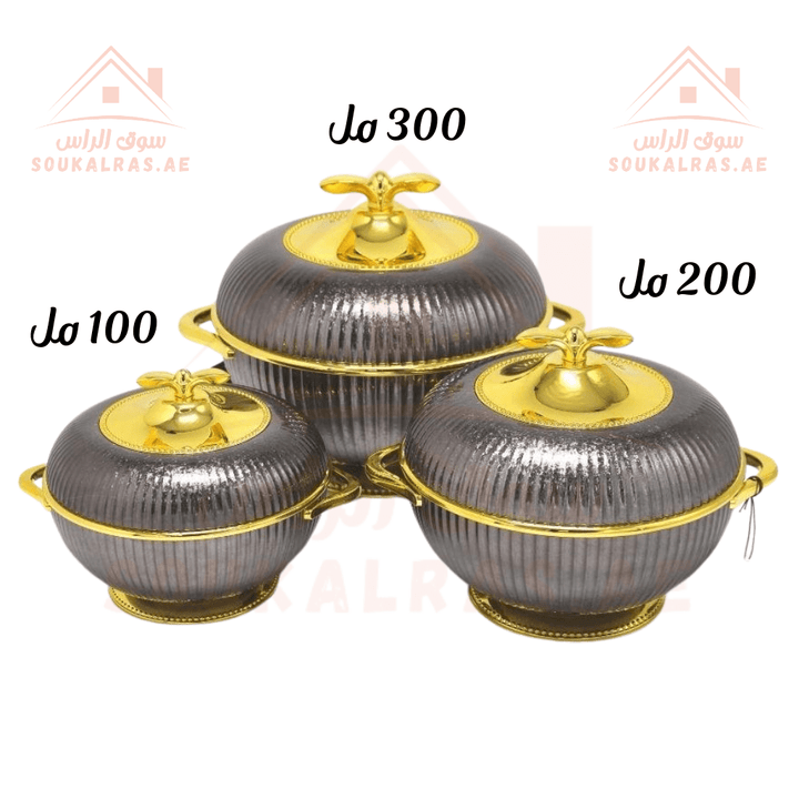 Elegant Hot Pot Food Warmer Set of 3 | 100ml, 200ml, 300ml | Premium Insulated Design - Souk Al Ras