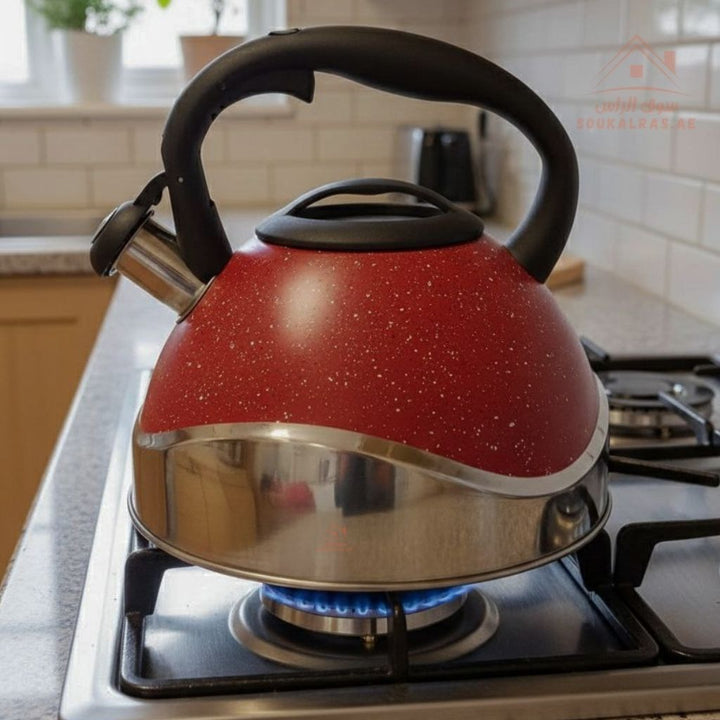 HausRoland 3.0L Stainless Steel Whistling Kettle | Heat - Resistant Handle | Large Capacity - Souk Al Ras