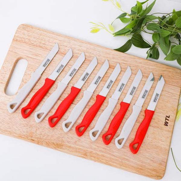 https://soukalras.ae/cdn/shop/products/DELCASA10PieceAll-PurposeSmallKitchenKnifeSet-UltraSharpStainlessSteelParingKnives_5.jpg?v=1683638213&width=600