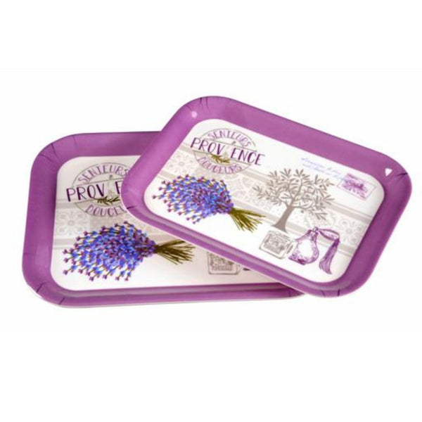 DELCASA 2-Piece Melamine Tray Set (27.94cm+33.02cm) - Durable and Lightweight for Serving Tea and Coffee