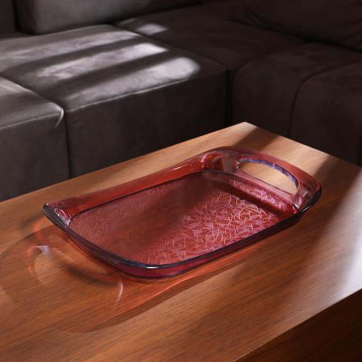 DELCASA Acrylic Plum Tray