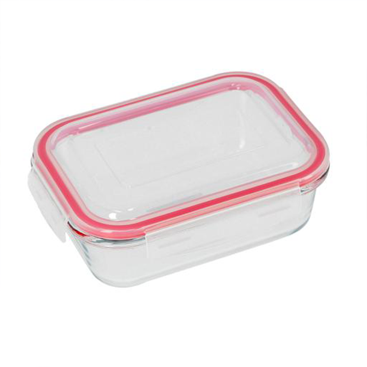 DELCASA Delcasa 1000ml Glass Rectangle Airtight Container