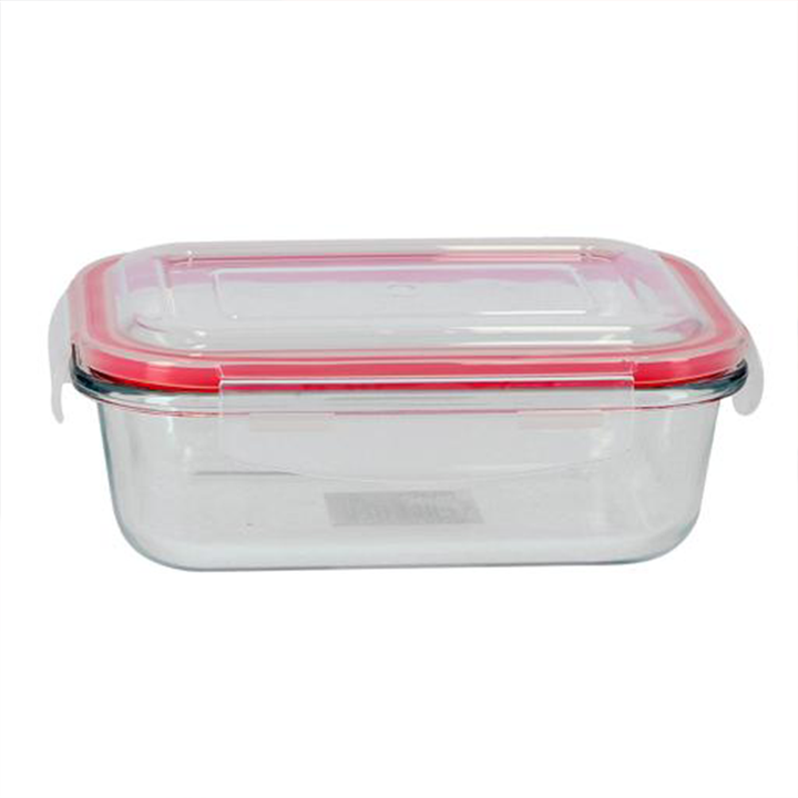 DELCASA Delcasa 1000ml Glass Rectangle Airtight Container