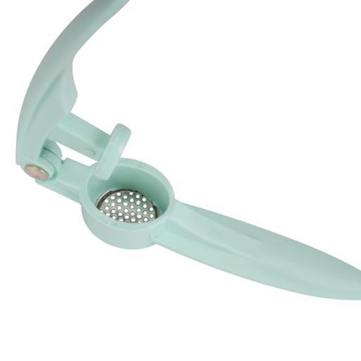 Delcasa Garlic Crusher With Plastic Handle - Super Easy To Clean - Crush Garlic & Ginger With Ease