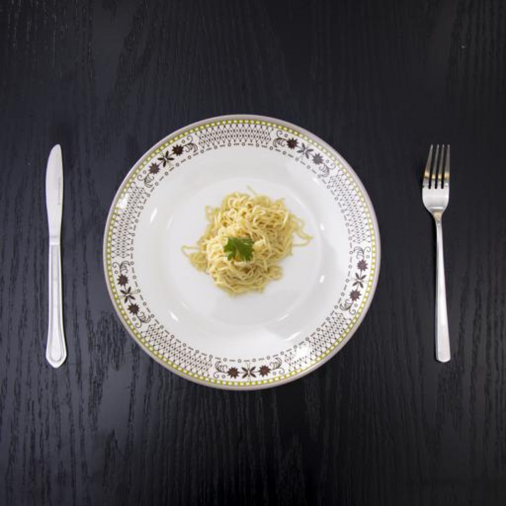 DELCASA Melamine Dinner Plate