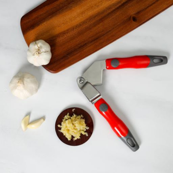 DELCASA Stainless Steel Garlic Crusher With PP Handle