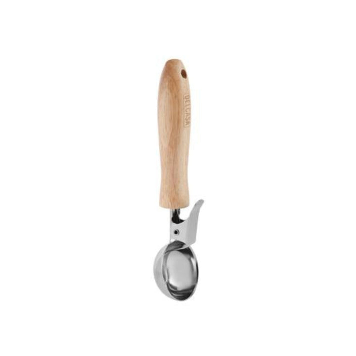 DELCASA Stainless Steel Ice Cream Spoon with Wooden Handle