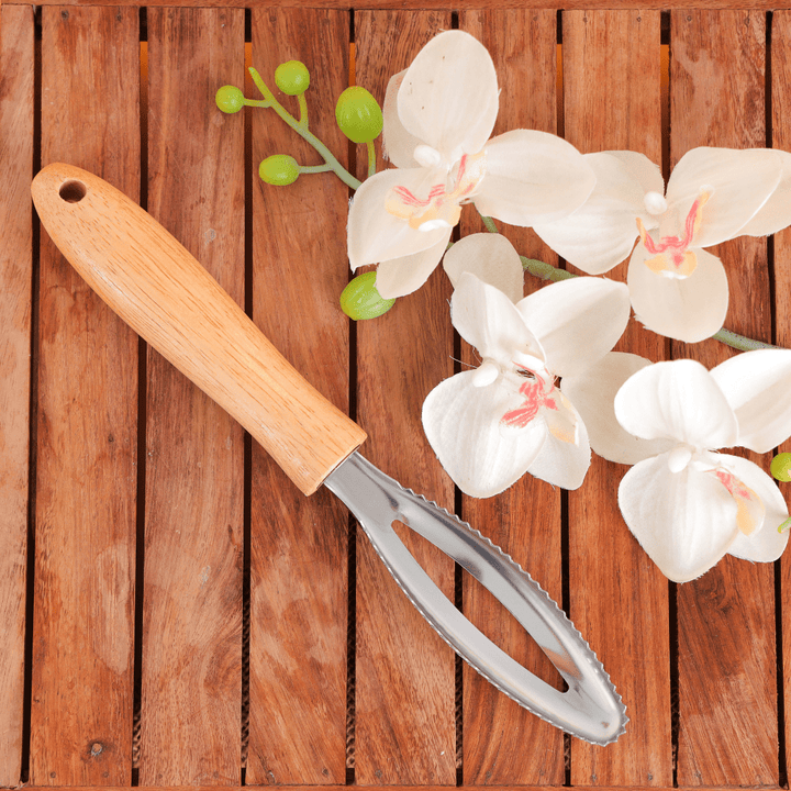 Stainless Steel Fish Scale Scraper With Wooden Handle - Souk Al RasCooking Utensils